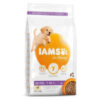 IAMS Dog Puppy Large Chicken granule pre psov 1 kus, Hmotnosť balenia (g): 3 kg