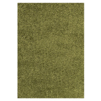 Kusový koberec Dream Shaggy 4000 green - 65x130 cm Ayyildiz koberce