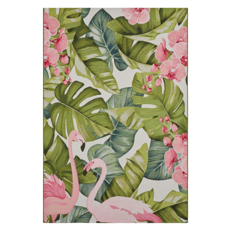 Kusový koberec Flair 105614 Tropical Flamingo Multicolored – na ven i na doma - 200x285 cm Hanse