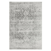 Sivý koberec 80x150 cm Nova – Asiatic Carpets