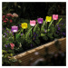 6 solárnych tulipánov