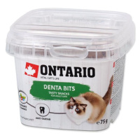 Pochúťka Ontario dentálne vankúšiky 75g