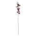 Dekoria Orchidea 100cm dark plum, 10 x 10 x 100 cm