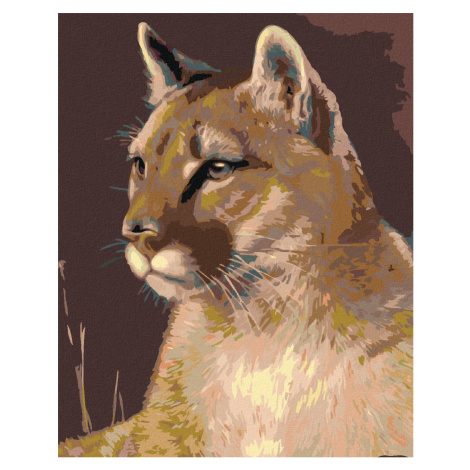 Diamantové maľovanie - PUMA Rámovanie: vypnuté plátno na rám, Rozmer: 40x50 cm