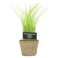 Umelá rastlina (výška 27 cm) Chives – Esschert Design