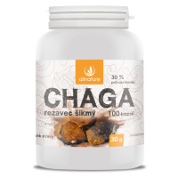 ALLNATURE Chaga 100 kapsúl