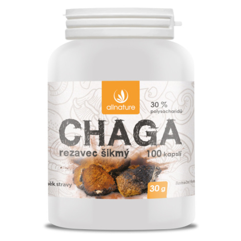 ALLNATURE Chaga 100 kapsúl