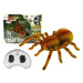 mamido  Robotický pavúk Tarantula na diaľkové ovládanie RC hnedý