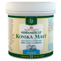 HERBAMEDICUS Konská masť chladivá 250 ml