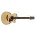 Ibanez AE205JR Open Pore Natural