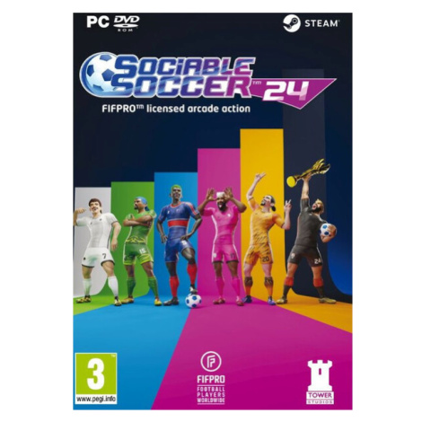 Sociable Soccer 24 (PC)