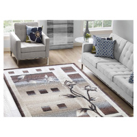 DY Hnedý kvetovaný koberec Ariu Rozmer: 120x170 cm