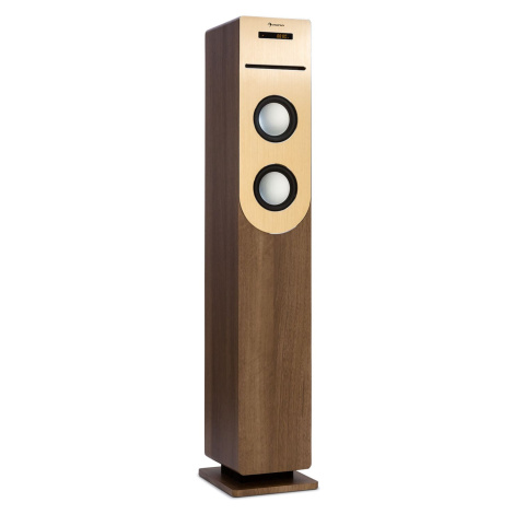 Auna Berklee, stĺpový reproduktor, 2 x 10 W RMS, FM rádio, CD prehrávač, Bluetooth, USB a SD/MMC