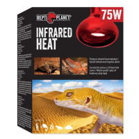 Žiarovka Repti Planet Infrared HEAT 75W