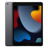 iPad Wi-Fi 256GB Space Gray (2021)