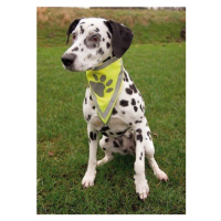 Trixie Neckerchief, reflective, S–M: 29–42 cm