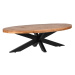Konferenčný stolík z mangového dreva v prírodnej farbe 70x130 cm Zip – LABEL51