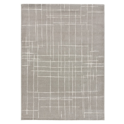 Sivý koberec Universal Sensation, 160 x 230 cm
