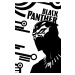 Marvel Black Panther: A Nation Under Our Feet Book 2