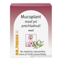 Mucoplant masť pri prechladnutí 20 g