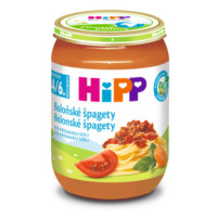 HIPP Príkrm bio bolonské špagety 190 g