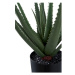 Umelá rastlina (výška 51 cm) Aloe Vera – House Nordic