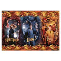 Clementoni Puzzle Harry Potter Harry, Herminona a Ron 104 dielikov