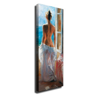 Obraz na plátne Naked sea PC202 30x80 cm