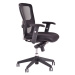 Ergonomická kancelárska stolička OfficePro Dike Farba: čierna, Opierka hlavy: bez opierky