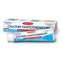 TEREZIA Calcium pantothenicum masť 30 g