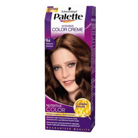 Palette Intensive Color Creme farba na vlasy R4 5-68