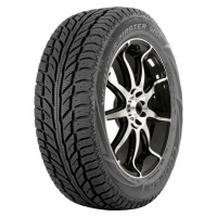 COOPER TIRES 225/60 R 17 99T WEATHER-MASTER_WSC TL M+S 3PMSF  TIRES