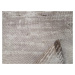 Kusový koberec Vals 8125 Beige Rozmery koberca: 200x290