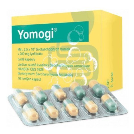 Yomogi na liečbu akútnej hnačky 250 mg 10 kapsúl