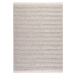 Ručne tkaný kusový koberec JAIPUR 333 Silver Rozmery koberca: 80x150