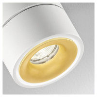 Egger Clippo Duo bodové LED, bielo-zlatá, 3 000 K