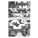 DC Comics Batman: Black and White Box Set