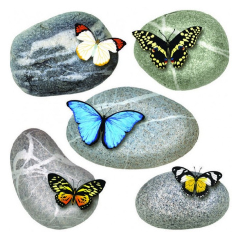 SS 3853 AG Design samolepiace dekorácia - samolepka na stenu - Butterflies on stones, veľkosť 30