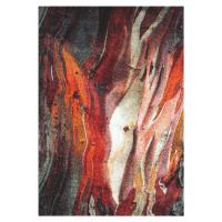 Kusový koberec Rust red 21304-910 - 160x230 cm Spoltex koberce Liberec