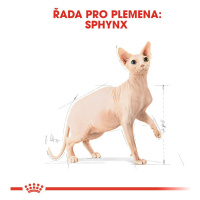 Royal Canin SPHYNX - 10kg