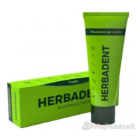 HERBADENT Original Bylinný medzizubný gél 25 g