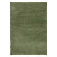 Zelený koberec 160x230 cm – Flair Rugs