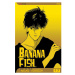 Viz Media Banana Fish 17