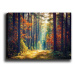 Obraz na plátne Miracle forest 50x70 cm