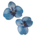 Kvety z jedlého papiera orchidea modrá 10ks - Dekora - Dekora