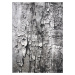 Kusový koberec Maksim 8606 Beige Grey - 120x180 cm Berfin Dywany