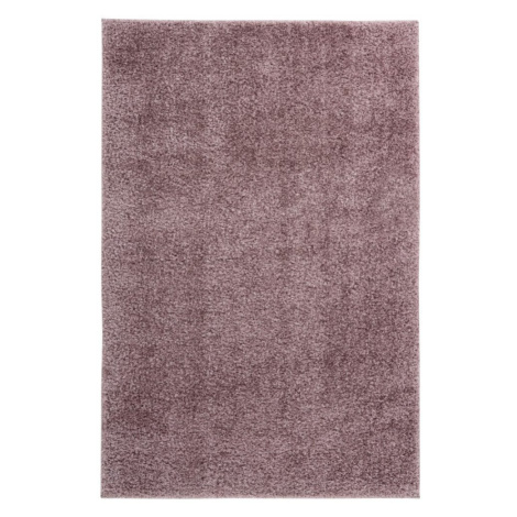 Kusový koberec Emilia 250 powder purple - 160x230 cm Obsession koberce