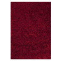 Kusový koberec Dream Shaggy 4000 Red Rozmery koberca: 120x170