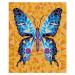 Janod Atelier Sada Maxi Maľovanie s číslami Hmyz