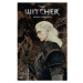 Dark Horse Witcher 5 - Fading Memories